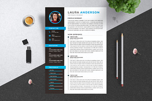 Best CV Format | Curriculum Vita, a Resume Template by X-Type