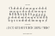 Monte Negro | Display Serif, a Serif Font by Ivan Rosenberg (Thumbnail 3 of 13)