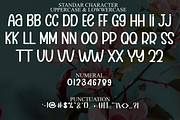 Wonderland, a Handwritten Font by FreshTypeINK (Thumbnail 5 of 8)