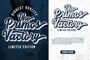 Youthgate Script, a Script Font by Youngtype.Std (Thumbnail 6 of 10)