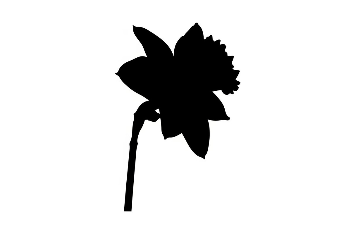 Floral Ornament Silhouette Bundle, an Illustration by BIPLOB EXPERT (Photo 44 of 51)