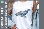 Whale Illustration Bundle, 20 PNG, an Animal Illustration by Enliven Designs (Thumbnail 6 of 8)