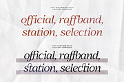 The Romantic Editorial | 18 Fonts, a Serif Font by Skinny Type (Thumbnail 7 of 13)