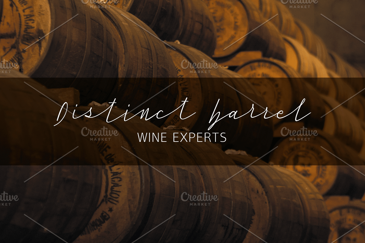 50%Off - Huge Script Family, a Script Font by vectalex (Photo 6 of 9)