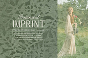 Botanical Imprint — Organic Papers, a Background Graphic by DigARTbyHavroshka (Thumbnail 2 of 15)