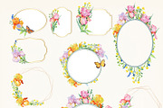 Iris watercolor set, a Decorative Illustration by MitrushovaArt (Thumbnail 4 of 13)