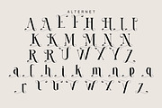Megumi, a Serif Font by Kenrichi (Thumbnail 8 of 10)