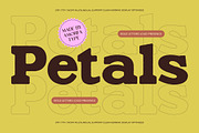Ganttie Bold Display Serif, a Serif Font by AmorfaType (Thumbnail 8 of 11)