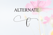 Beautiful | Script Font, a Handwritten Font by Scratchones (Thumbnail 8 of 9)