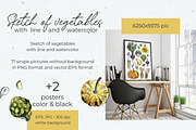 Vegetables vector sketch watercolor, a Food Illustration by irina.vaneeva (Thumbnail 13 of 18)