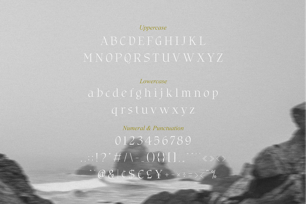 Bligra – Modern Serif Typeface, a Serif Font by BrandSemut (Photo 11 of 13)