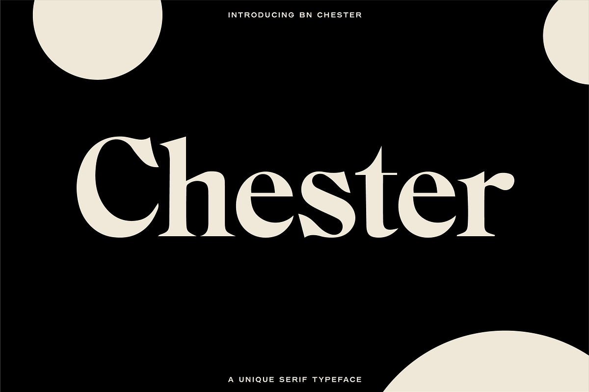 The Diverse Font Bundle, a Sans Serif Font by Bnick (Photo 8 of 34)