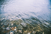 peace, a Photo by The Homestead Collective  (Thumbnail 1 of 2)