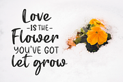 Winter Garden, a Script Font by Larin Type Co. (Thumbnail 6 of 9)