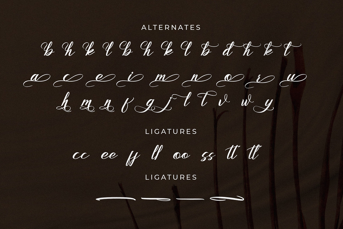Emeline, a Script Font by Goresan Studio (Photo 12 of 15)