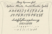 Strong Capricorn Vintage Script Font, a Script Font by LABFcreations (Thumbnail 11 of 15)