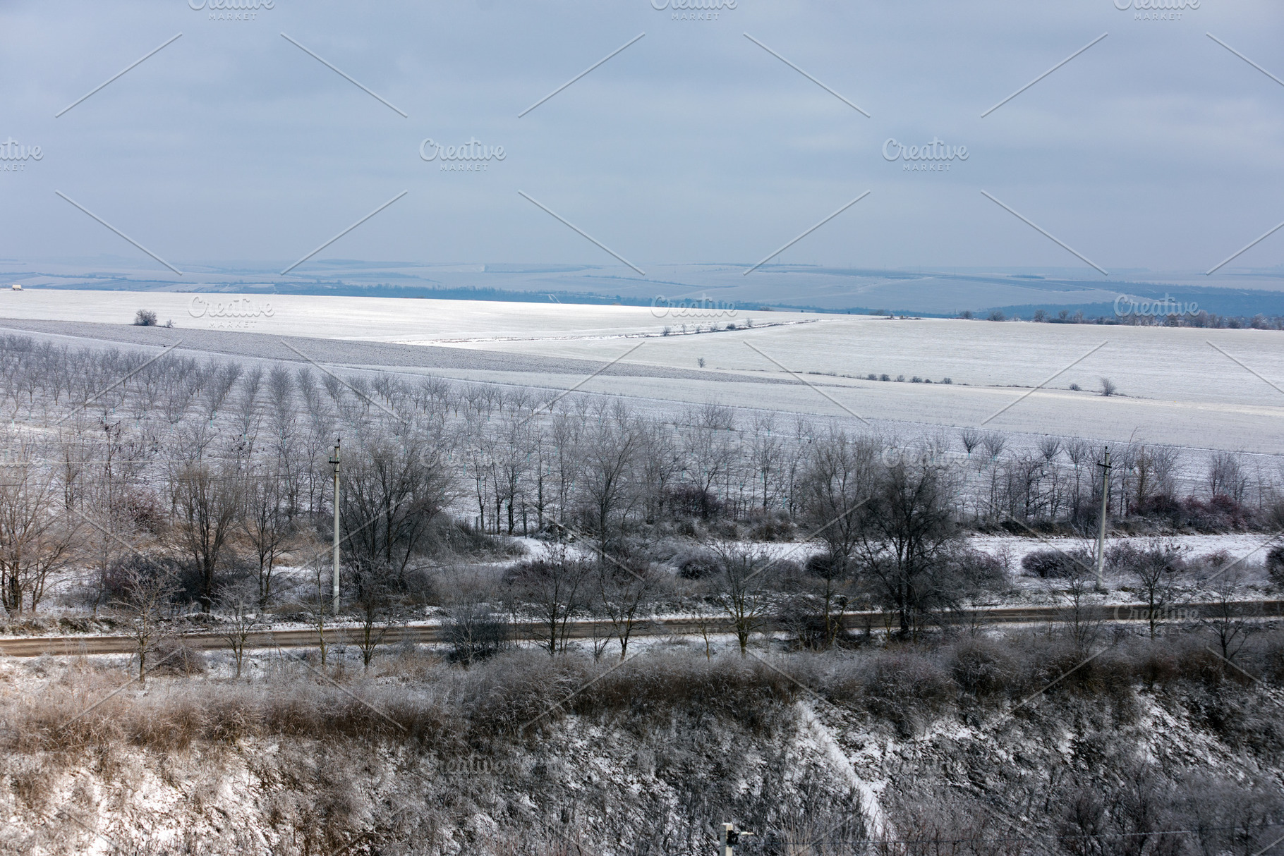 Vast snowy fields and bare trees under a cloudy sky, capturing t, a Nature Photo by Ales Munt