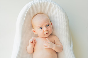 Newborn baby comfortably resting in, a Health & Medical Photo by Elizaveta Galitskaya