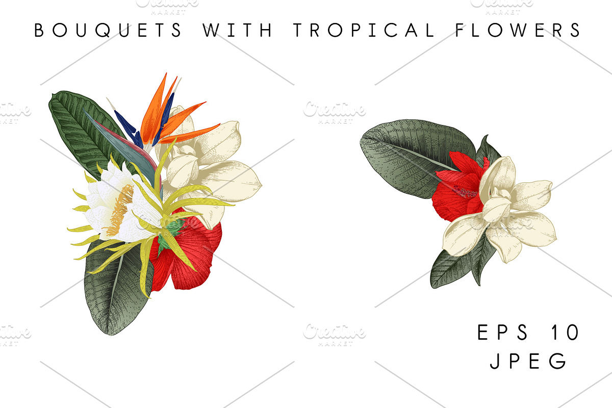 Tropical flowers. VECTOR, a Pattern Graphic by ollalya (Photo 2 of 8)