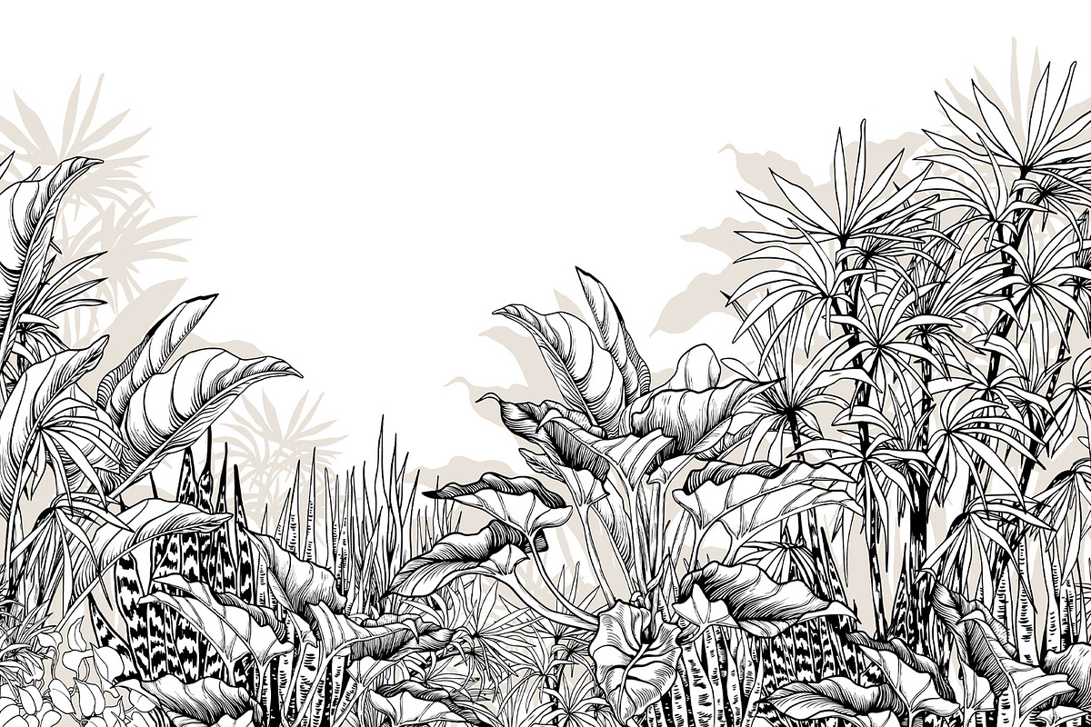 Tropical black& white plants, a Decorative Illustration by Jeanna Draw (Photo 4 of 17)