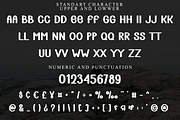 Dream Sunday, a Script Font by FreshTypeINK (Thumbnail 7 of 8)