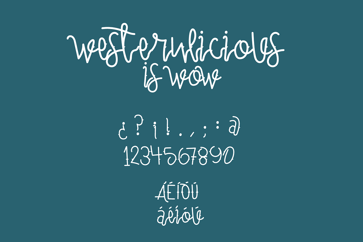WESTERNLICIOUS, a Handwritten Font by M#RM#N (Photo 3 of 4)