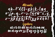 Balhgi Rizetons - Bold Script Font, a Script Font by StringLabs (Thumbnail 10 of 10)