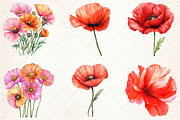 Corn Poppy Flower Bloom Clipart, an Illustration by Rose Art (Thumbnail 2 of 6)