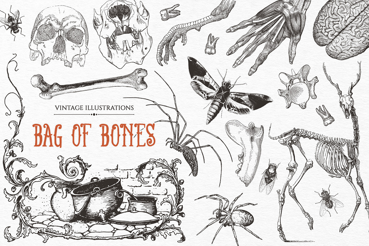 Bag of Bones | Vintage Clipart, a Seasonal Illustration by GVGraphics (Photo 1 of 13)