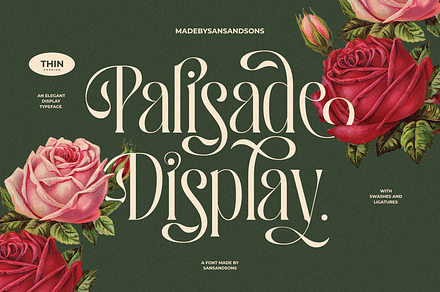 Palisade Display Font, a Serif Font by Sans & Sons