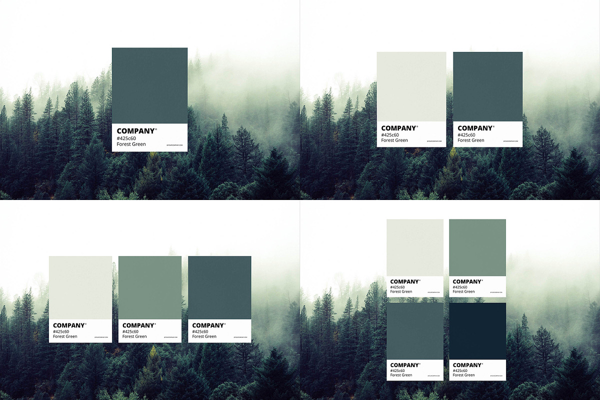 Color Match Mockup Set, a Product Mockup by creatsy5