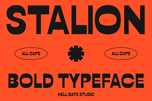 Stalion Bold Typeface