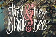 Loveton Typeface, a Script Font by Ian Irwanwismoyo (Thumbnail 5 of 5)