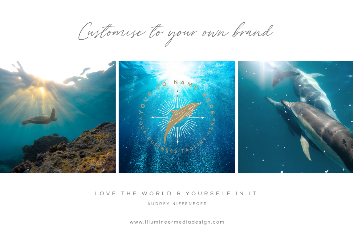 Dolphin Logo Vectors & Foil Overlays, a Branding & Logo Template by Illumineer Media & Design (Photo 2 of 9)