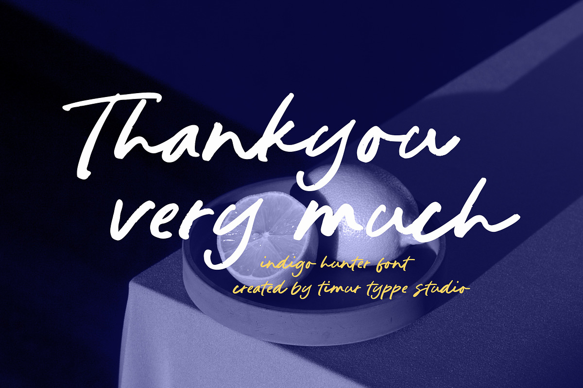 Indigo Hunter Font, a Script Font by Timurtype (Photo 7 of 7)