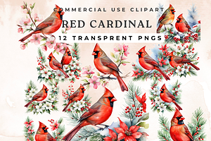 Red Cardinal Clipart,, an Animal Illustration by Anca Digital Vibe