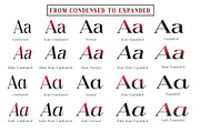 Dravion, a Serif Font by Keren Studio (Thumbnail 7 of 15)