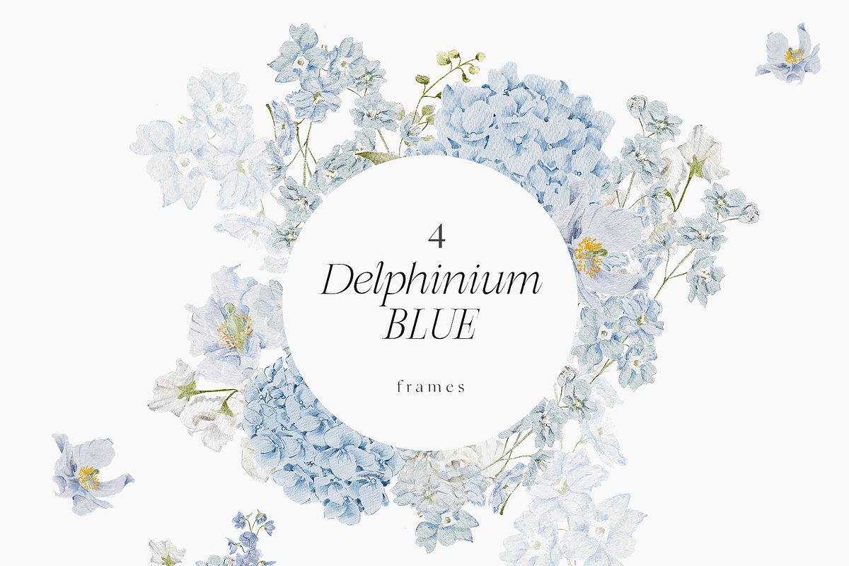 Delphinium blue Delicate Flowers, a Decorative Illustration by Grace Noboa Illustrations (Photo 3 of 9)