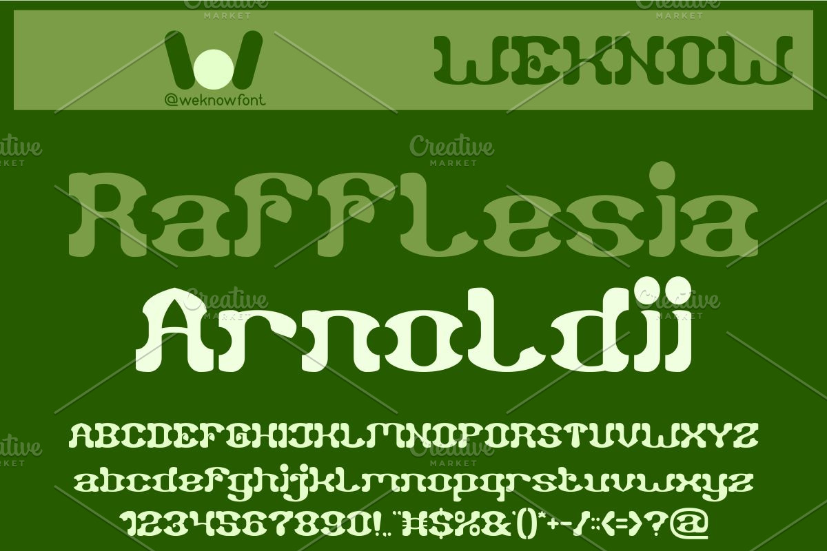 Falling Leaves font, a Font by weknow (Photo 4 of 8)