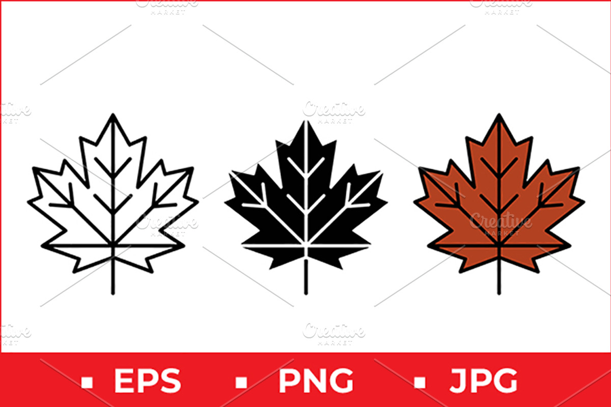 Maple Leaf Vector Icon Graphic Set, a Solid Icon by Artonix (Photo 1 of 2)