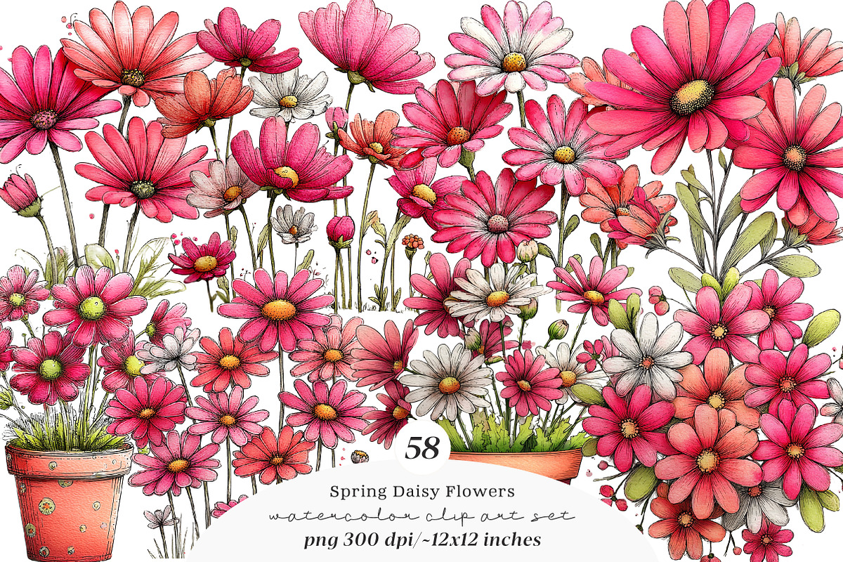 Spring daisy flower clipart, an Illustration by SinaCreation (Photo 1 of 11)