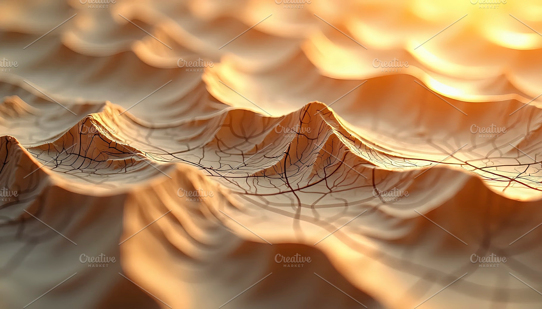 Abstract Topographic Lines With 3D D, a Photo by LOGOCREATIVE