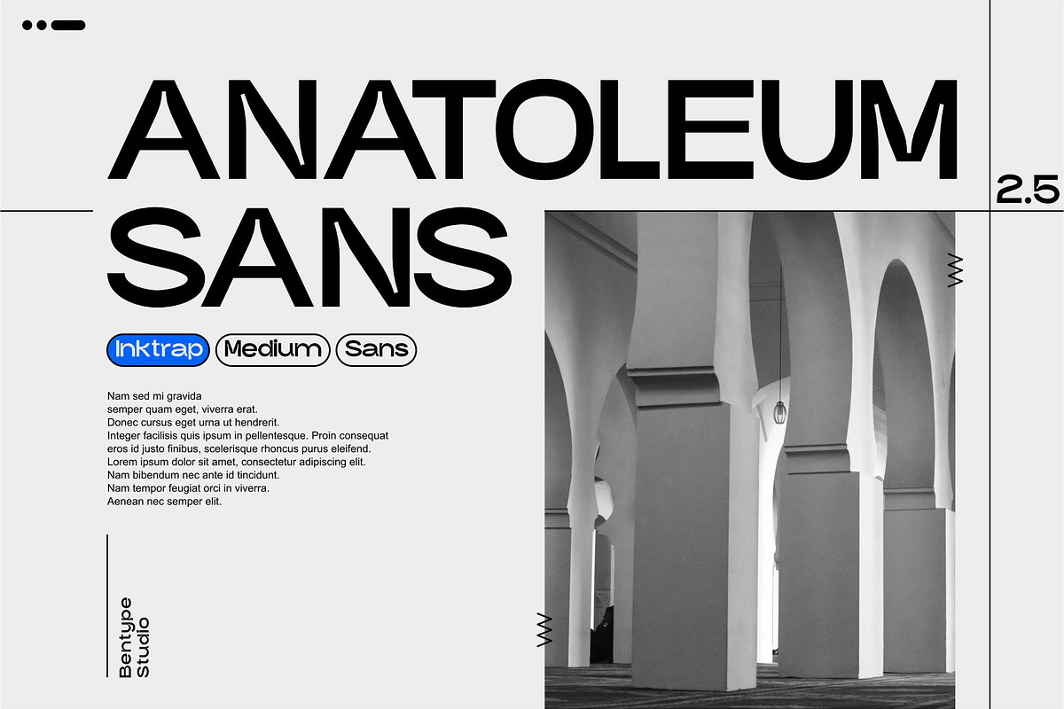 Anatoleum Sans - Inktrap Medium Sans, a Sans Serif Font by Bentype Studio (Photo 2 of 16)