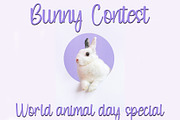 Rabbit, a Handwritten Font by InermediaSTUDIO (Thumbnail 2 of 6)