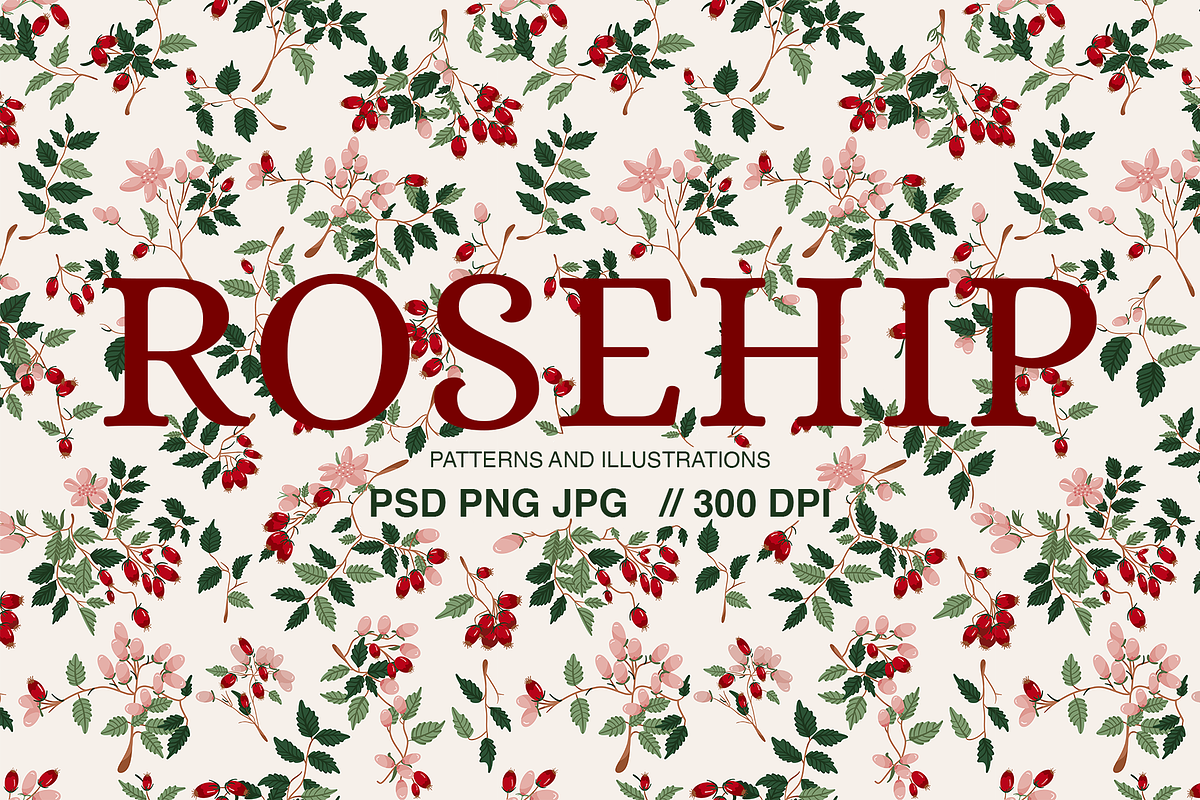 Rosehip Elegant Romantic Pattern, a Pattern Graphic by Mariia Kovalchuk (Photo 1 of 13)