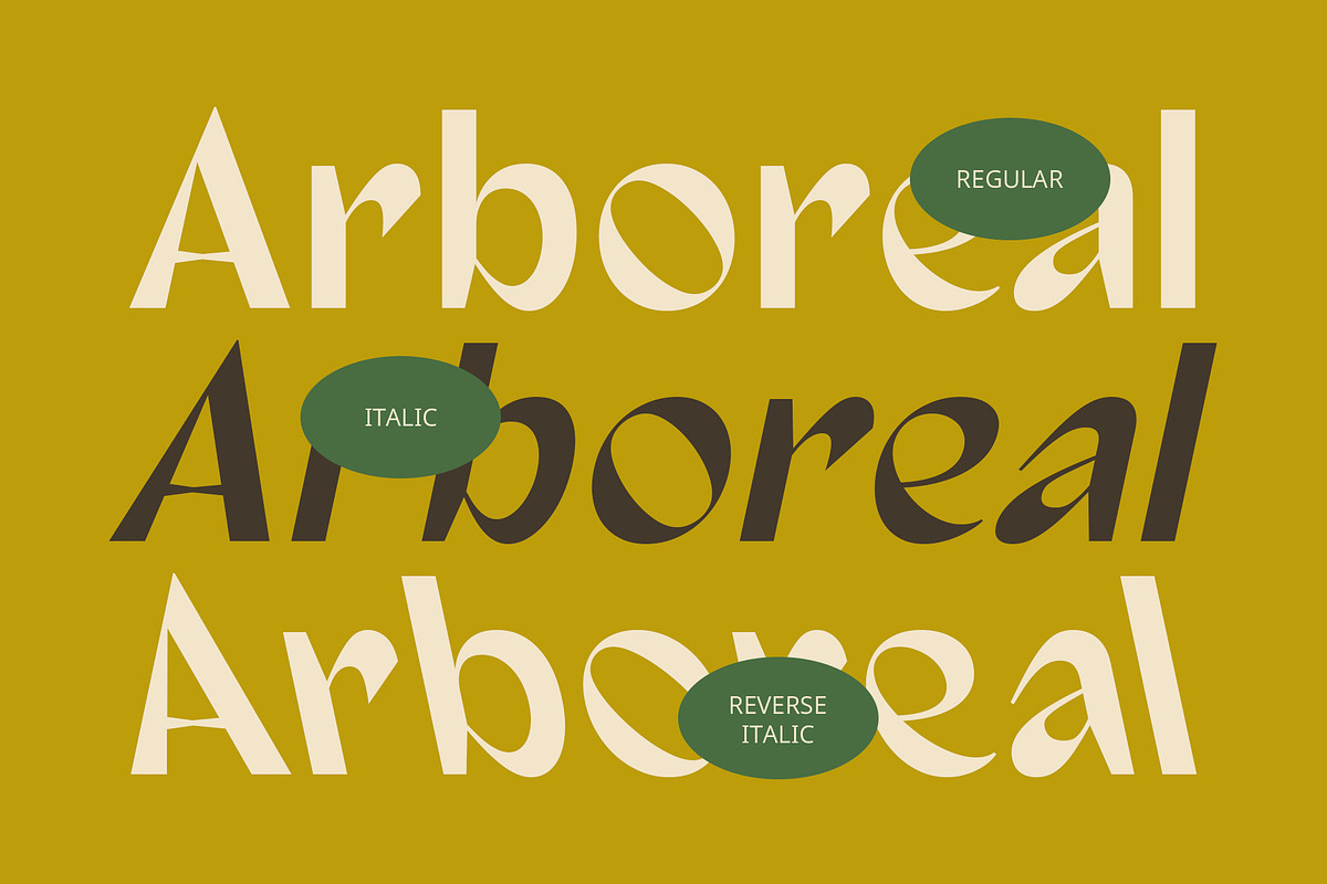 CS Venora – Classic Font, a Sans Serif Font by Craft Supply Co. (Photo 2 of 8)