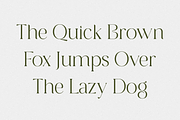 Versine Swoosh, a Serif Font by RockboyStd (Thumbnail 7 of 12)
