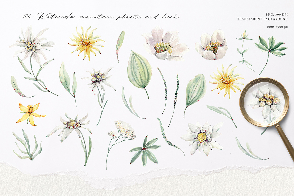 THE MOUNTAINS ARE CALLING, an Illustration by Lemaris (Photo 4 of 8)