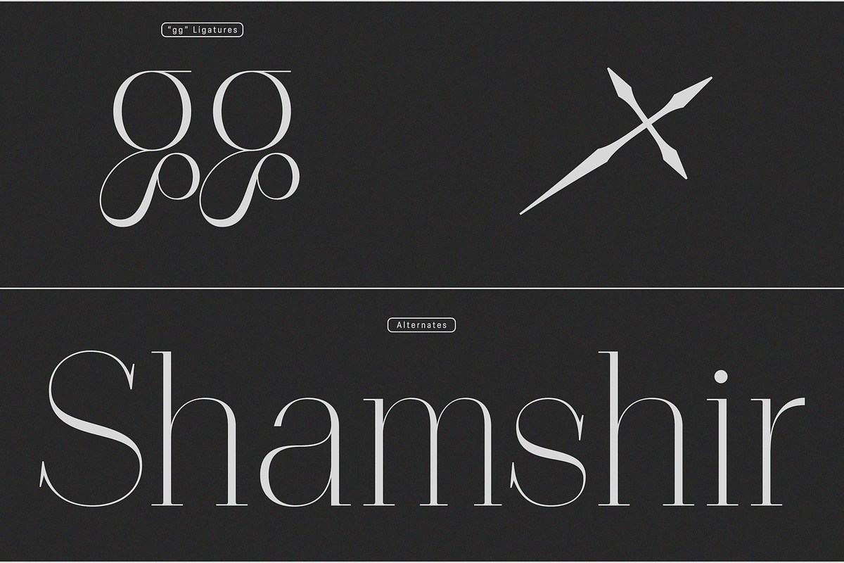 Polyglot Neue, a Serif Font by MJtypefoundry (Photo 13 of 13)