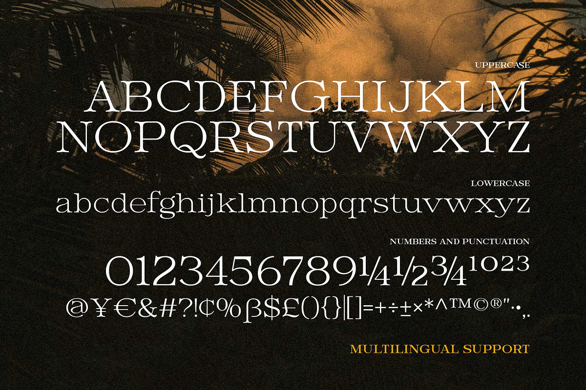 Hendry - Vintage Serif Family, a Serif Font by Novitype (Photo 12 of 12)